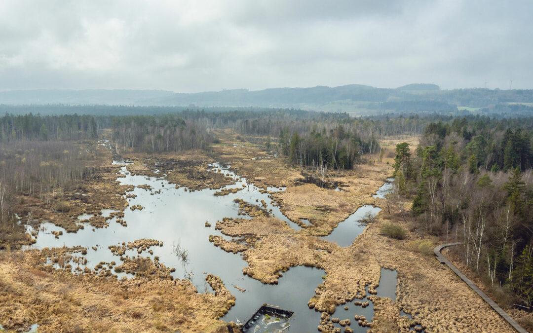 Das Moor: natürlicher Klimaschutz