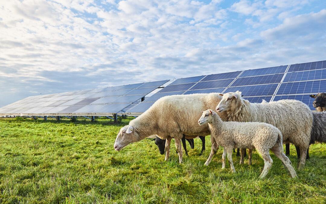 Die Energiewende findet hier statt.