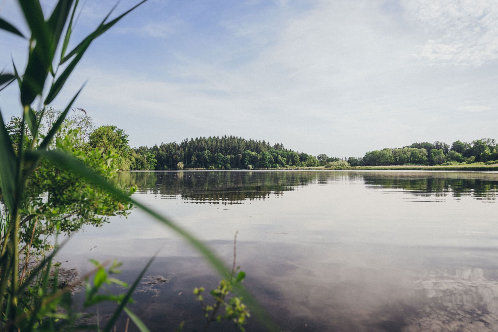 Nessenreben_DSC4876_©donailinger